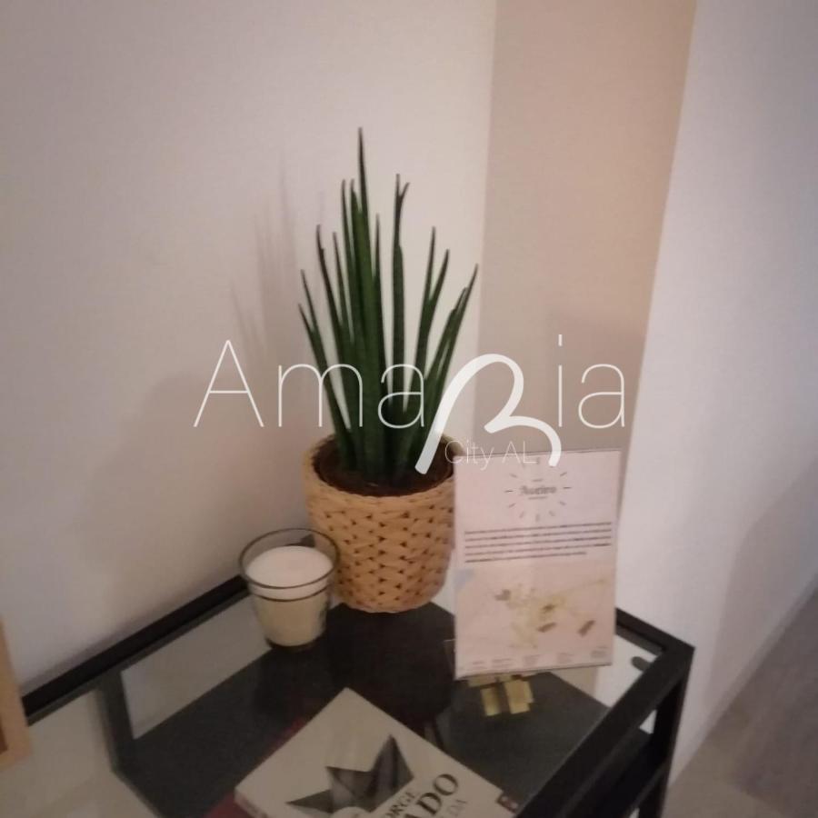Amariacity Al